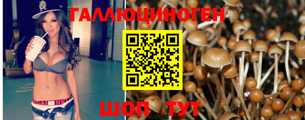 Псилоцибиновые грибы MAGIC MUSHROOMS Майкоп